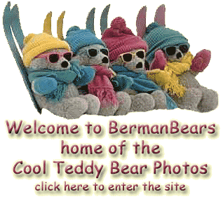 Welcome to Berman Bears