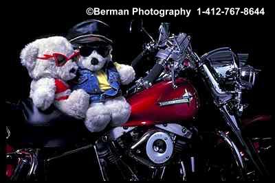 Teddy Bear couple out for a ride on their Harley Davidson Motorcycle.