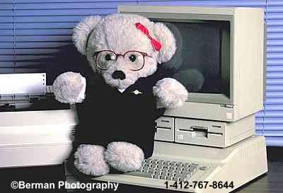 Ms computer Teddy Bear hard at work.