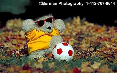 Teddy Bear kicking the soccer ball into play. At the start of the teddy bear soccer match this teddy bear has to kick the ball into play.
