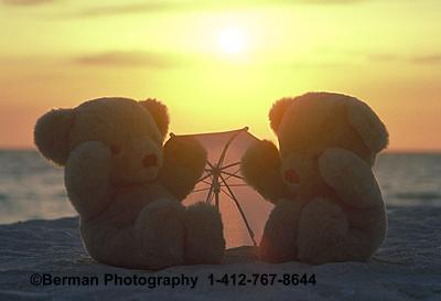 Romantic Teddy Bear couple is watching the sunset. 