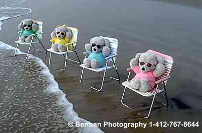 Teddy Bears enjoying the ocean breeze.