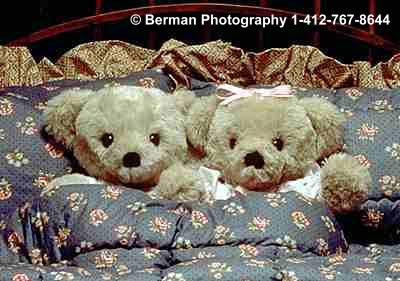 Two Teddy Bears in bed - Sweet Dreams