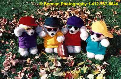 Teddy Bears line up for their football team picture. 
