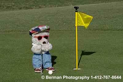 Teddy Bear playing golf about to get a hole in one. 