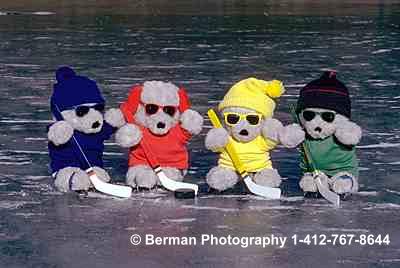Ice Hockey Teddy Bear team picture. 
