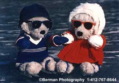 Teddy Bear couple spending the afternoon ice skating.