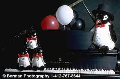 Maestro Penguin conducting the Antarctica penguin choir sitting atop a Grande Piano.
