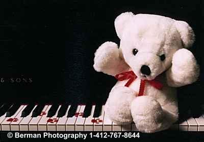 Teddy Bear musician 