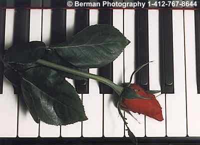Piano with a single red rose. A very romantic photograph, just right for the one you love.