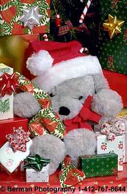 Teddy Bear playing Santa Claus. Helping to deliver Christmas presents to teddy bears all around the world. 