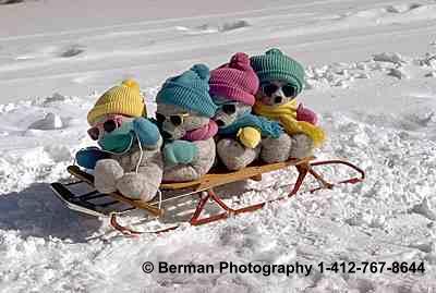 Four friendly Teddy Bears spend the day riding a sled. 