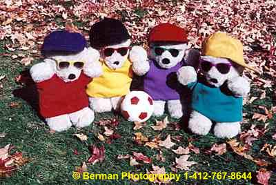Teddy Bears line up for their soccer team picture. 