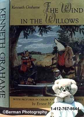 Teddy Bear reading Wind in the Willows  